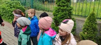 IMG_20260518_111234