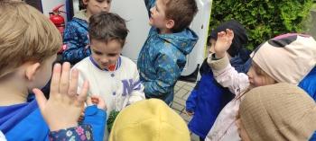 IMG_20260518_112005