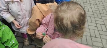 IMG_20260518_112024