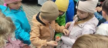 IMG_20260518_112048