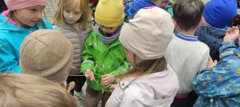 IMG_20260518_112056