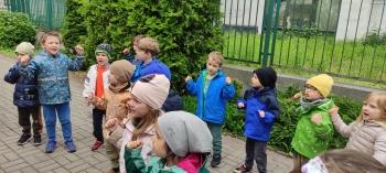 IMG_20260518_113635