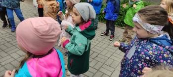 IMG_20260518_113657