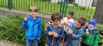 IMG_20260518_113836