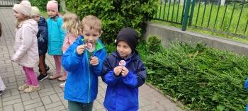IMG_20260518_113841