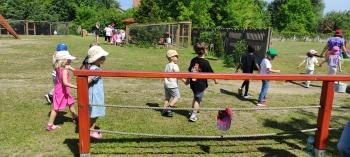 IMG_20260525_113436