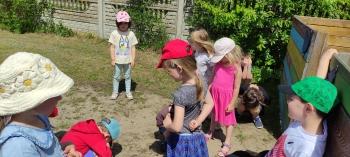 IMG_20260525_114045