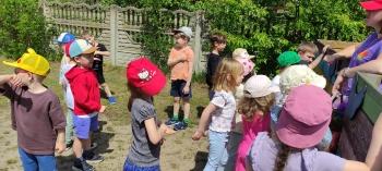 IMG_20260525_114241