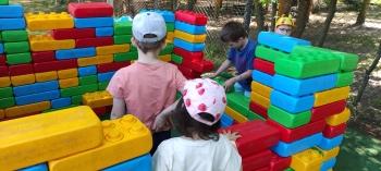 IMG_20260525_124425