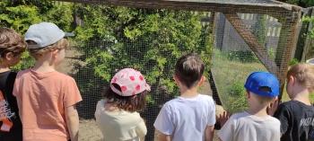 IMG_20260525_125552