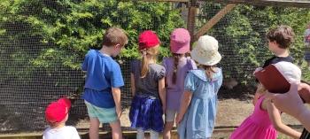 IMG_20260525_125617