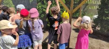 IMG_20260525_125651