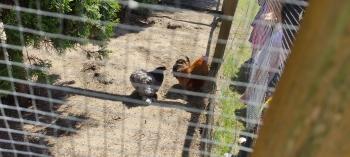 IMG_20260525_125725