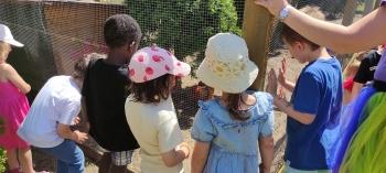 IMG_20260525_125802