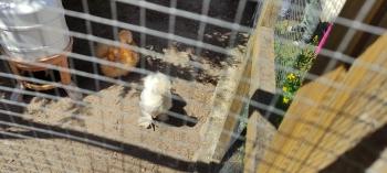 IMG_20260525_125823