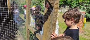 IMG_20260525_125828