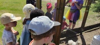 IMG_20260525_125848
