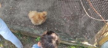 IMG_20260525_125859