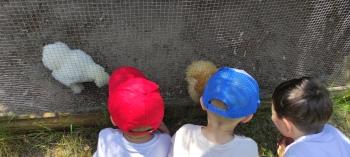 IMG_20260525_125910