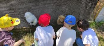 IMG_20260525_125912