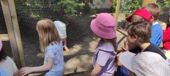 IMG_20260525_130001