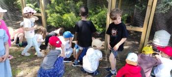 IMG_20260525_130026
