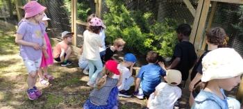 IMG_20260525_130028