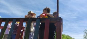 IMG_20260525_130123