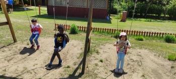 IMG_20260525_130228