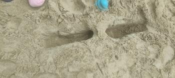 IMG_20260515_114127