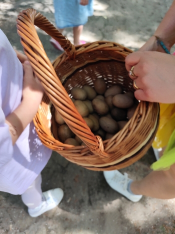 IMG_20260525_123414