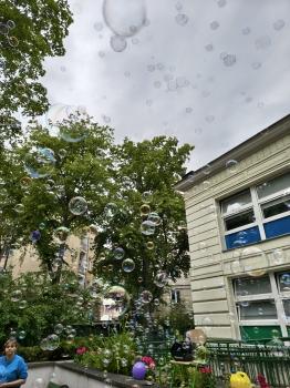 IMG_20260601_110853035_HDR