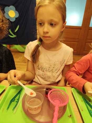 IMG_20260618_115347
