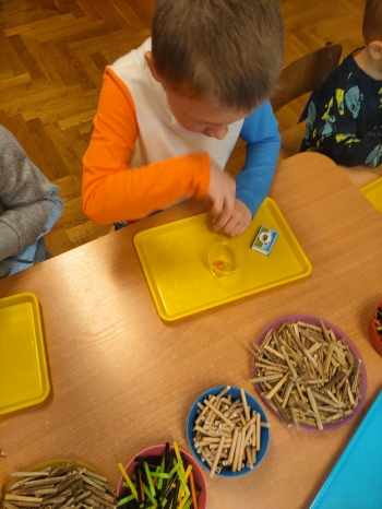 IMG20250331095442
