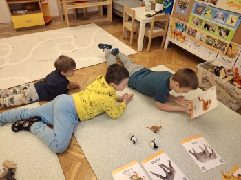 IMG-20250513-WA0043