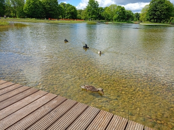 IMG20250515103148