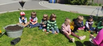 IMG_20250530_110441