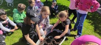 IMG_20250530_110601