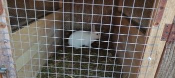 IMG_20250530_120334