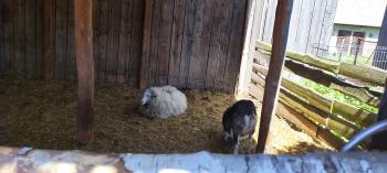 IMG_20250530_120412