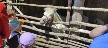 IMG_20250530_120425