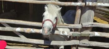 IMG_20250530_120538