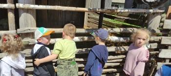 IMG_20250530_120724