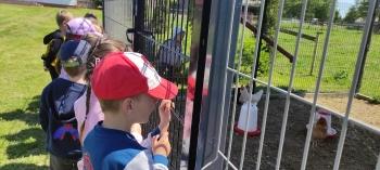 IMG_20250530_123854