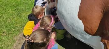 IMG_20250530_124504