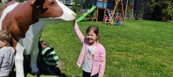 IMG_20250530_124520