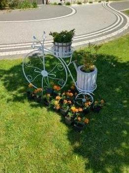 IMG_20250530_112551599_HDR