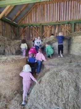 IMG_20250530_124158139