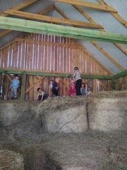 IMG_20250530_124642144