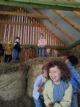 IMG_20250530_124740075